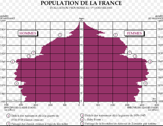 Pyramide des âges France 2000