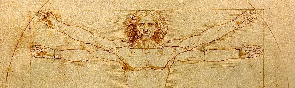 homme de vitruve