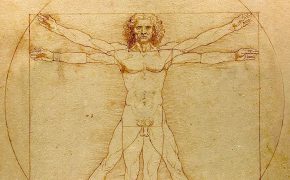 homme de vitruve