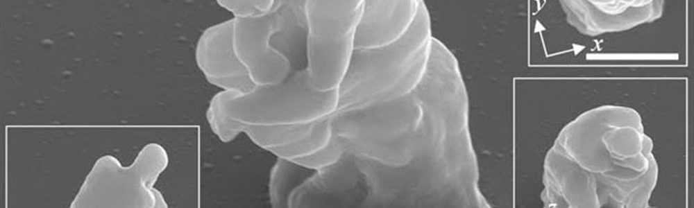 thinker nano