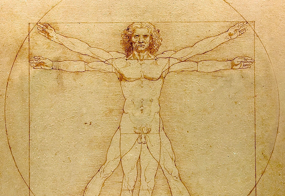 homme de vitruve