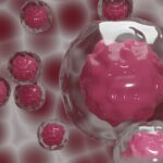 Cellules souches embryon transhumanisme éthique bioéthique