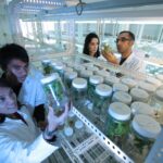 Transhumanisme nature ordre naturel éthique biotechnologies génétique PMA